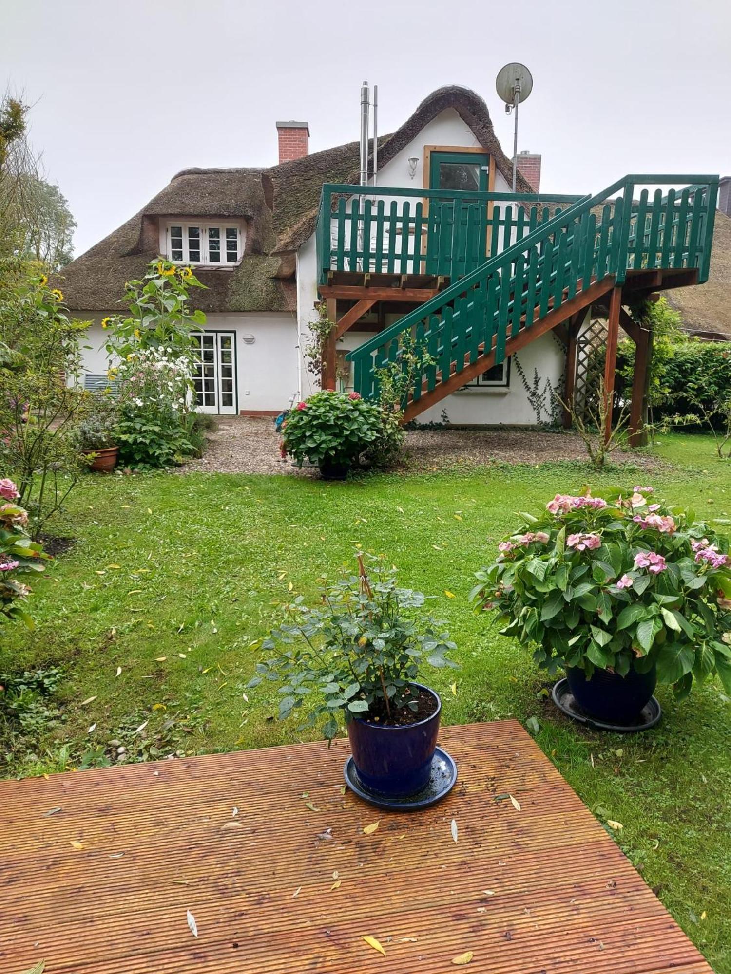 Apartament Marthas Insel Oldenswort Zewnętrze zdjęcie